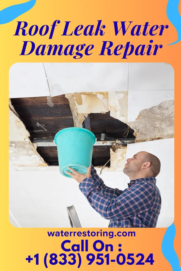 Roof Leak Water Damage Repair in Lake Camelot, WI